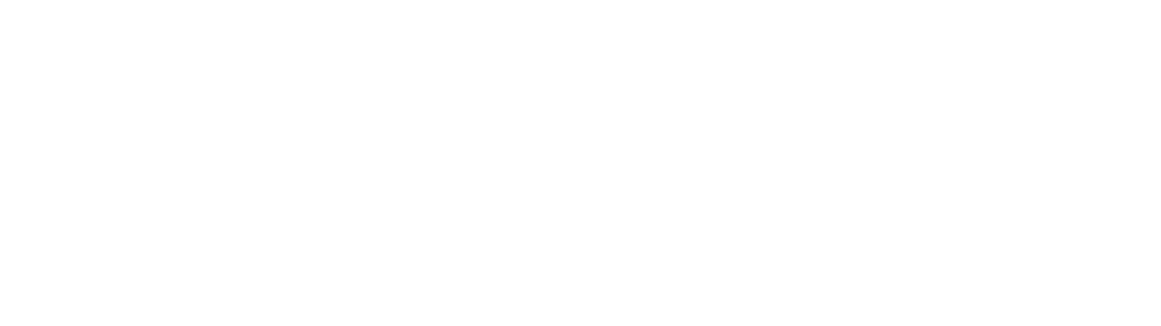 McNylo.dev Logo